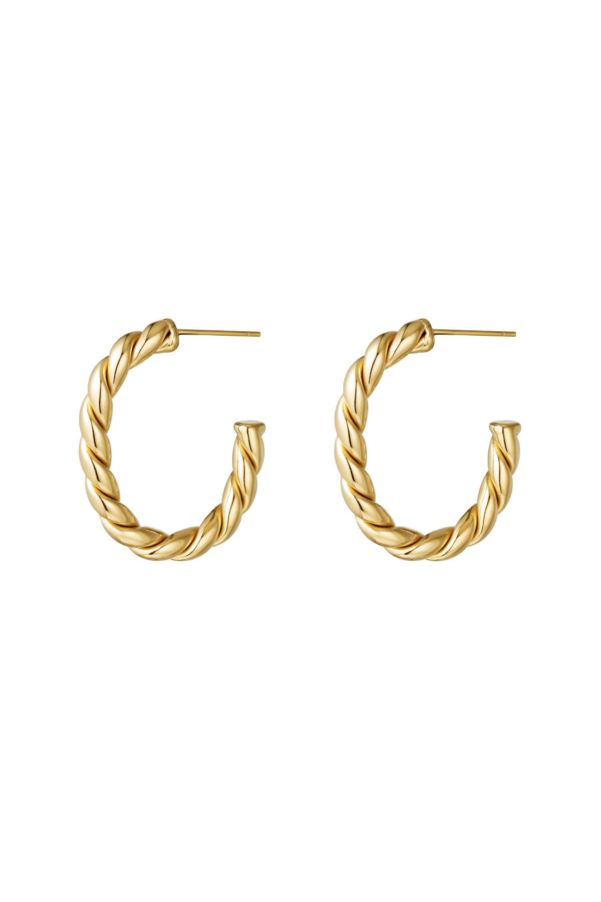 Gold / Earrings Hoops Rope Gold Stainless Steel 