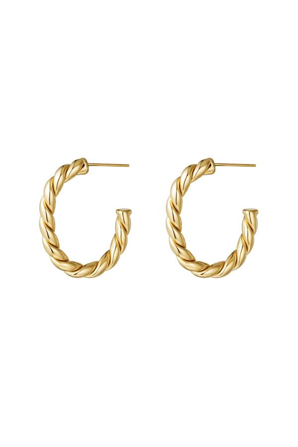 Earrings Hoops Rope Gold Stainless Steel