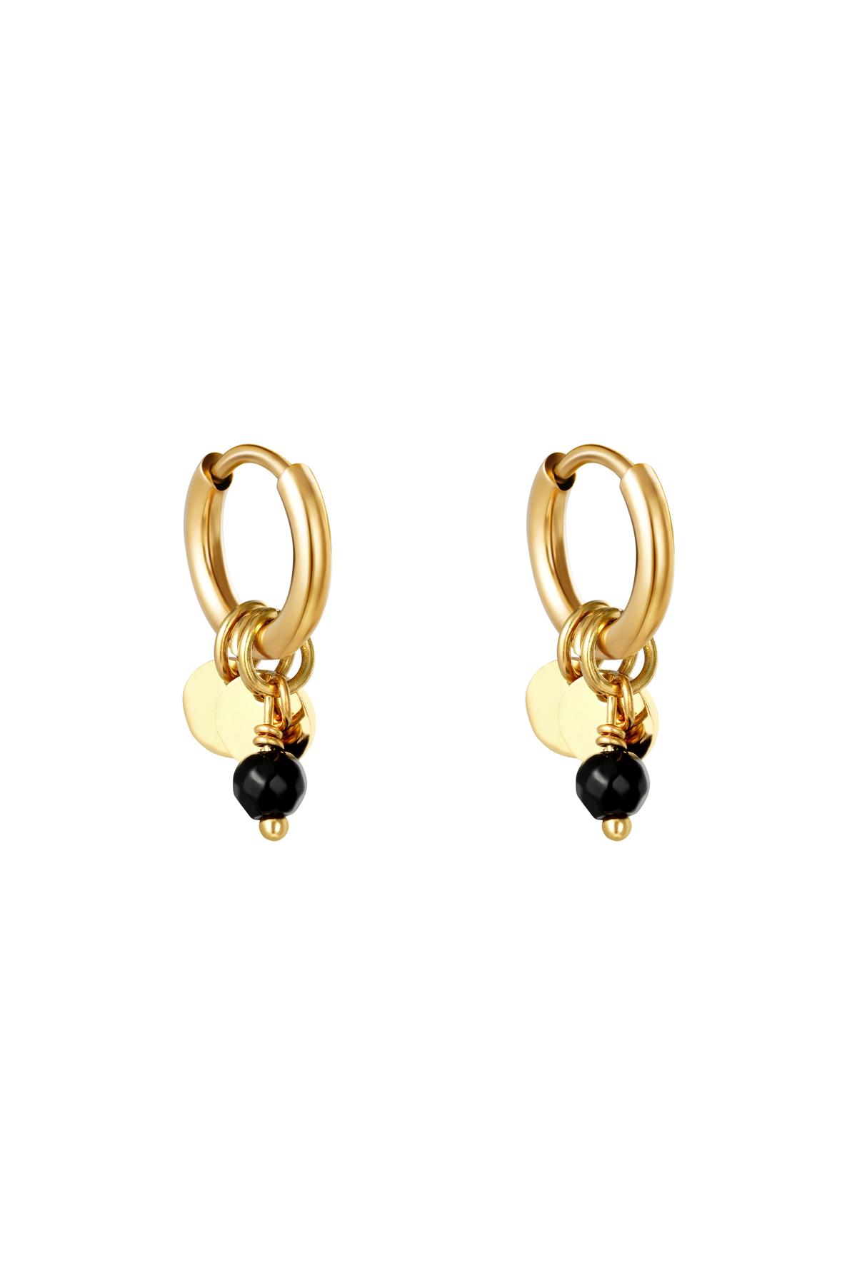 Earrings Delicate Black Stainless Steel