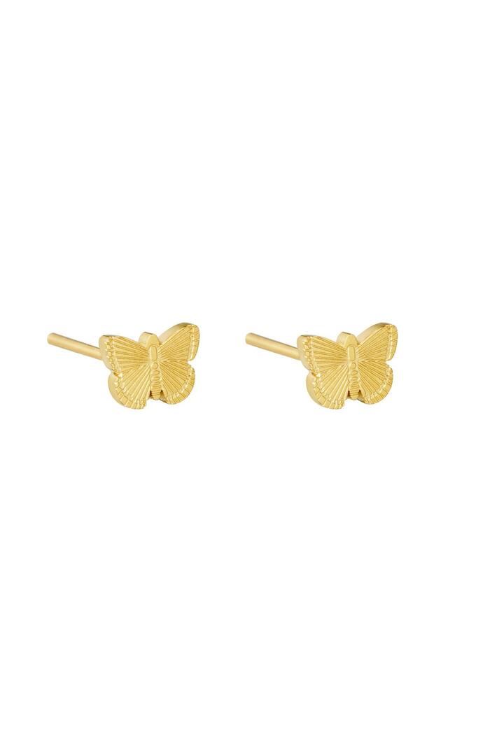 Earrings Fly Gold Stainless Steel 