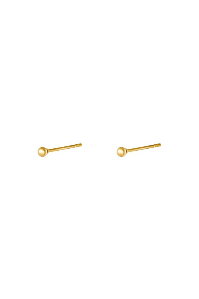 Earrings Tiny Dot Gold Stainless Steel 