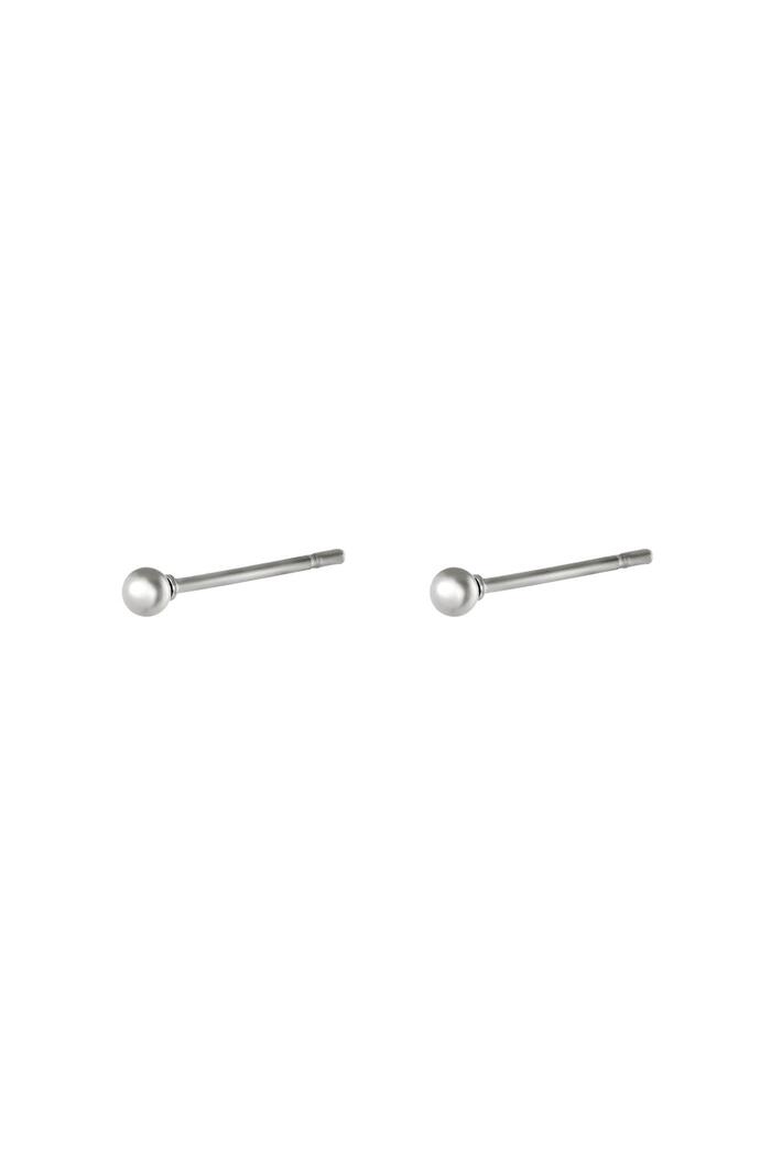 Earrings Small Dot Silver Stainless Steel 