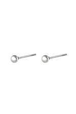 Silver / Earrings Big Dot Silver Stainless Steel Immagine2