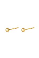 Gold / Earrings Big Dot Gold Stainless Steel 