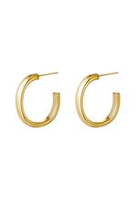 Gold / Earrings Hoops Smooth Gold Stainless Steel 