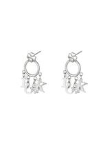 Silver / Stainless steel earring Luck Silver 