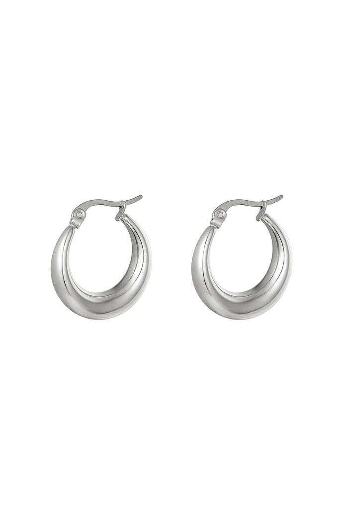 Earrings Arched Silver Stainless Steel 