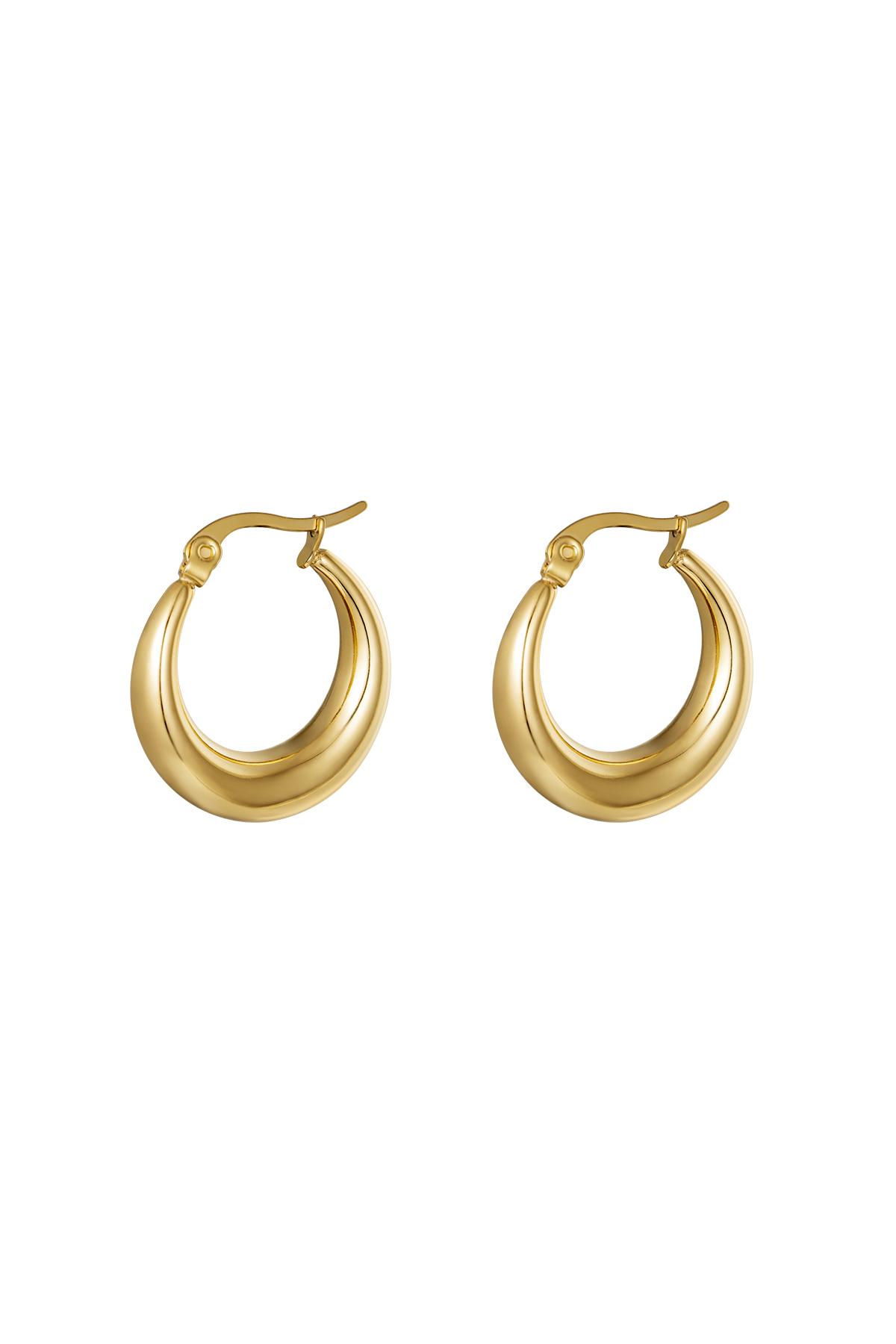 Earrings Arched Gold Color Stainless Steel 2