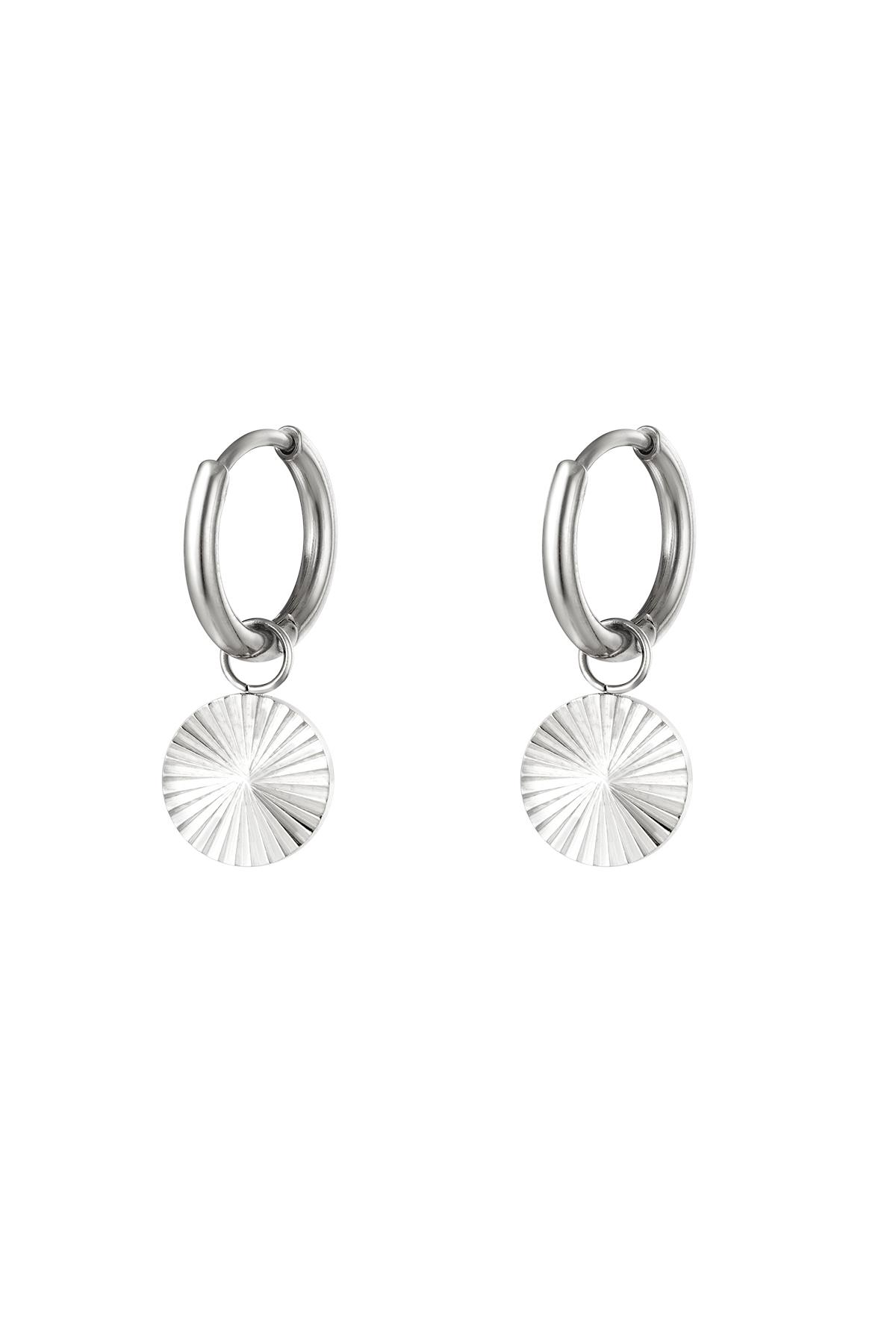 Stainless steel earrings circle Silver h5 