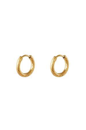 Stainless steel hoop earrings Gold h5 