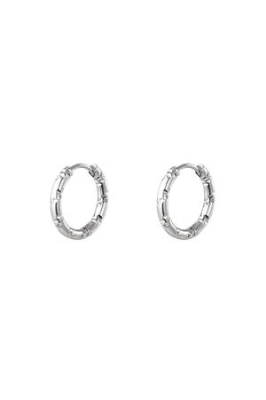 Stainless steel hoop earrings Silver h5 
