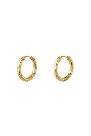 Stainless steel hoop earrings Gold h5 