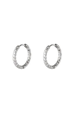 Stainless steel hoop earrings Silver h5 