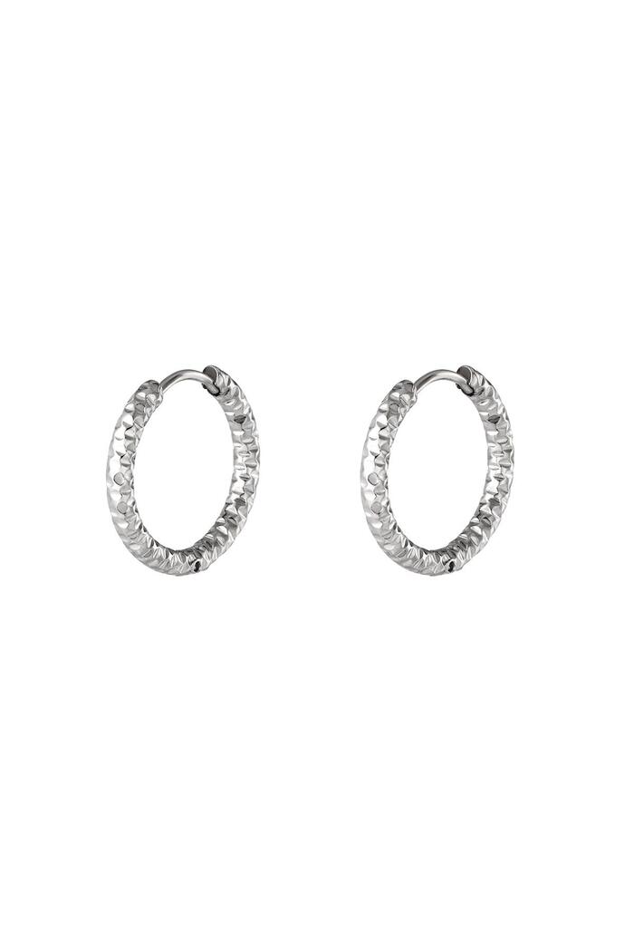 Stainless steel hoop earrings Silver 