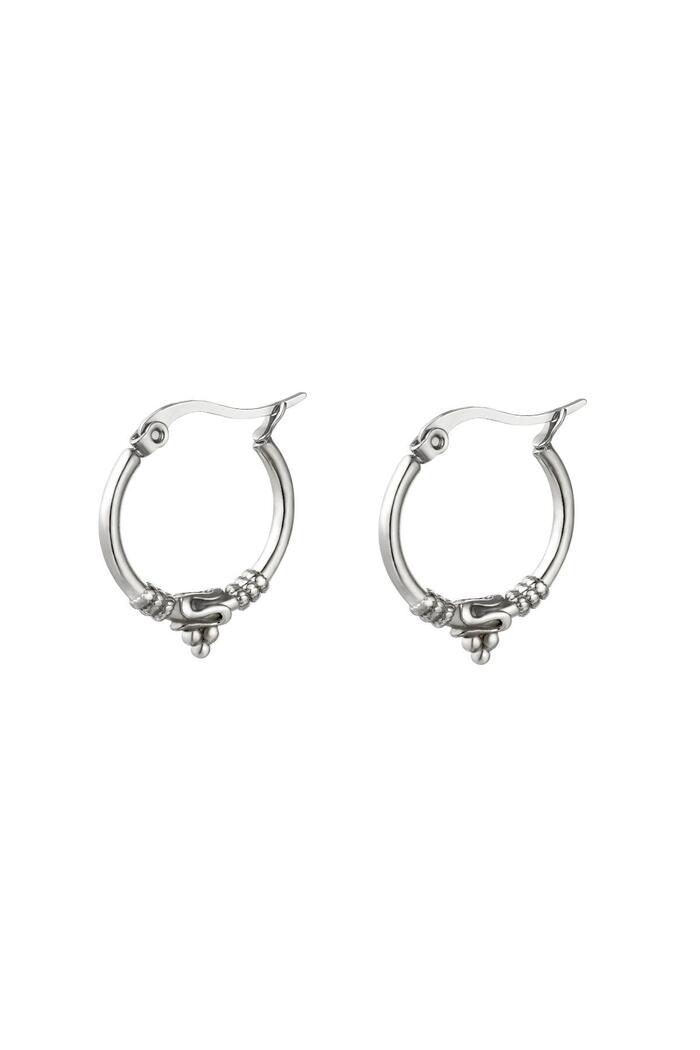 Stainless steel earring Silver 