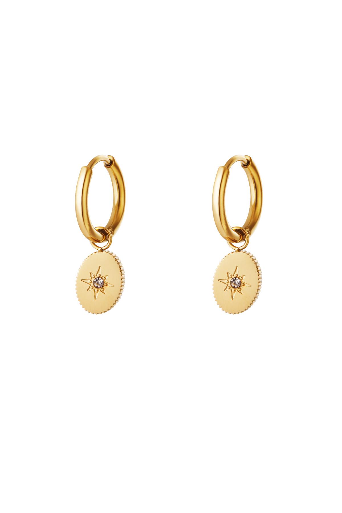 Earrings star with zirkon Gold Stainless Steel h5 