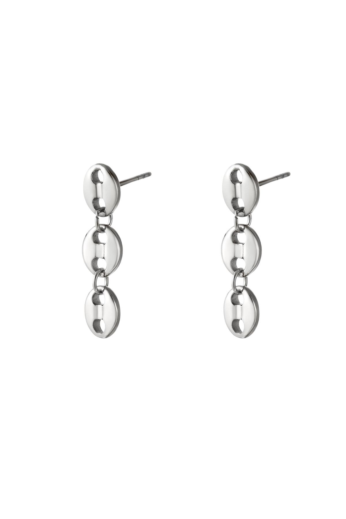 Stainless steel earrings  Silver