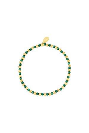 Bracelet bicolore Vert Acier inoxydable h5 