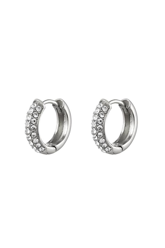 Earrings shiny hoops Silver Stainless Steel 