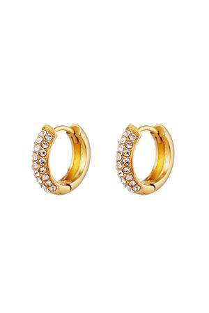 Earrings shiny hoops Gold Stainless Steel h5 