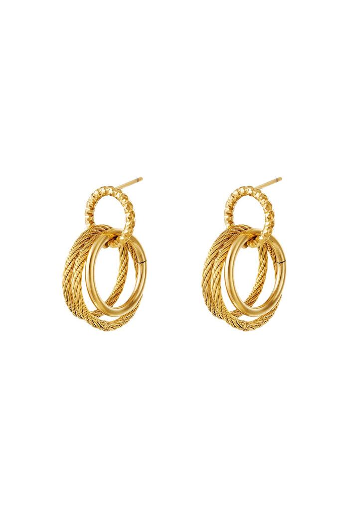 Stainless steel earrings hoops party Gold 