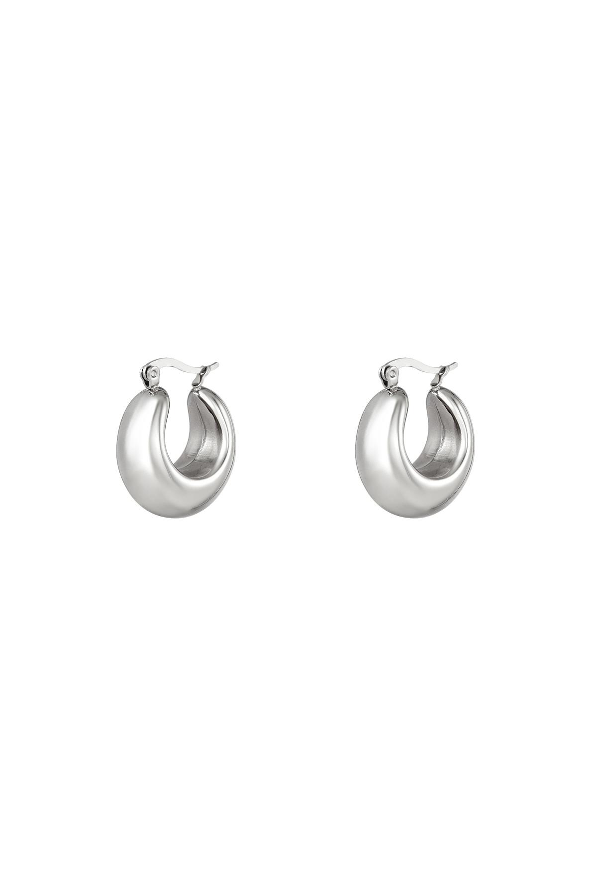 Bold hoop earrings small Silver Stainless Steel