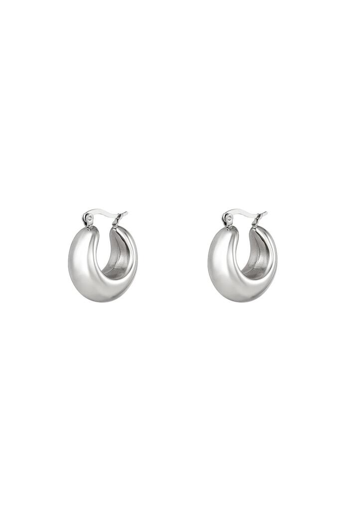 Bold hoop earrings small Silver Stainless Steel 