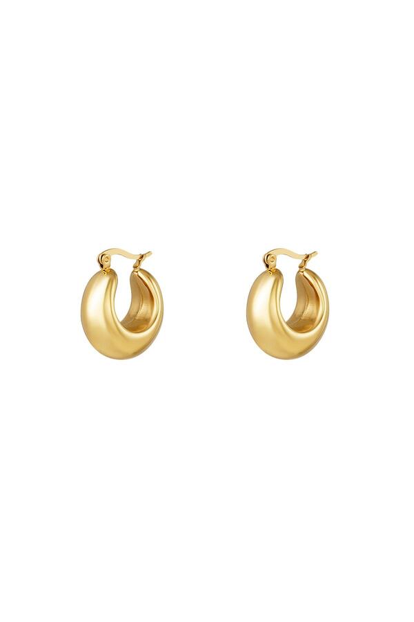 Bold hoop earrings small Gold Stainless Steel