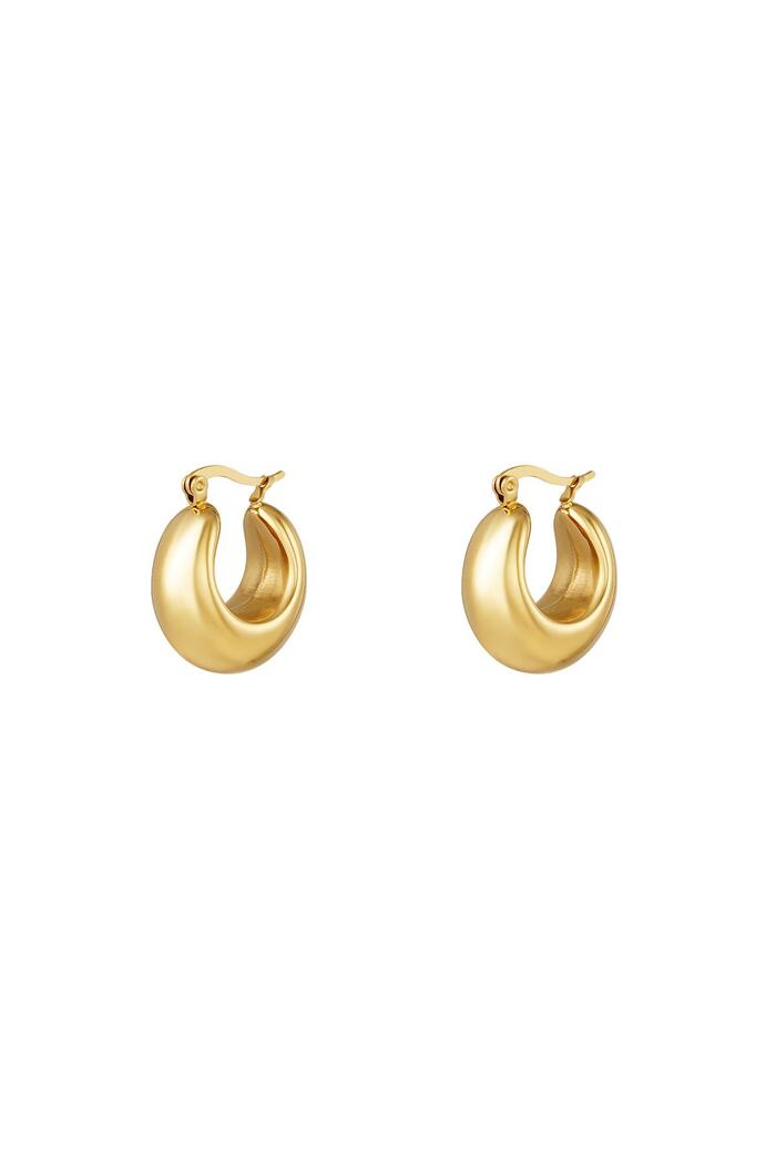 Bold hoop earrings small Gold Stainless Steel 