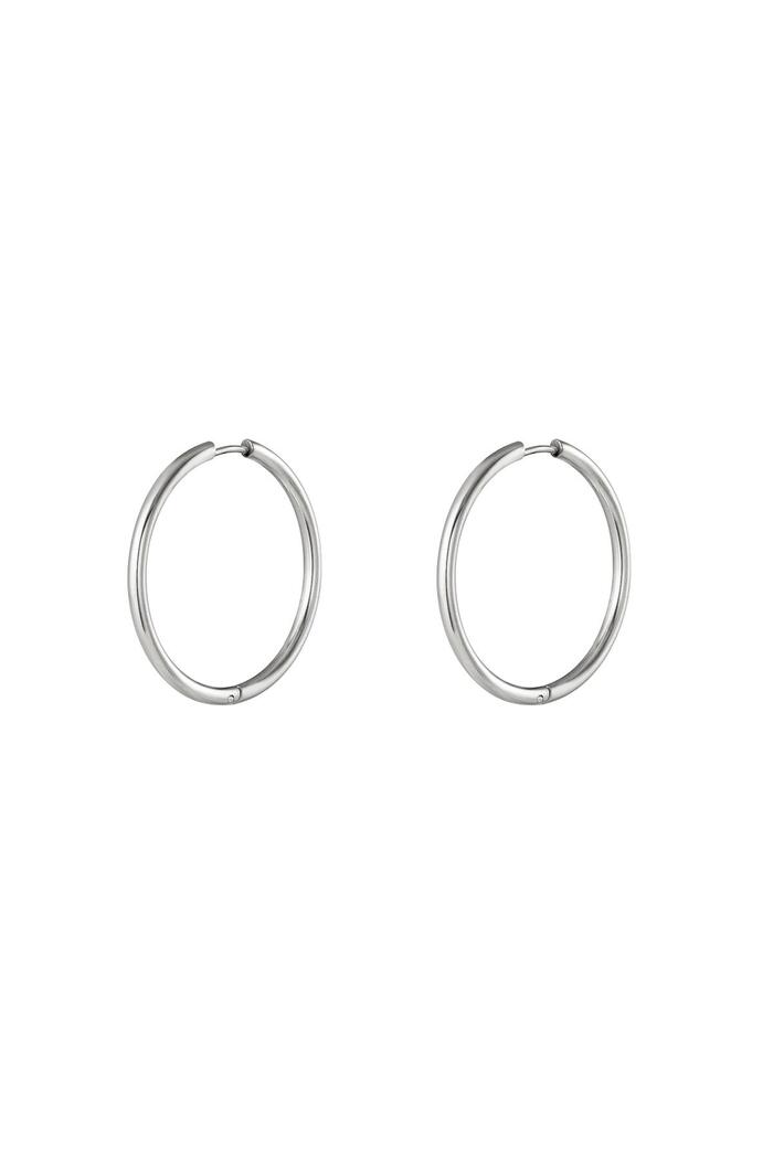 Stainless steel earrings hoops small Silver 