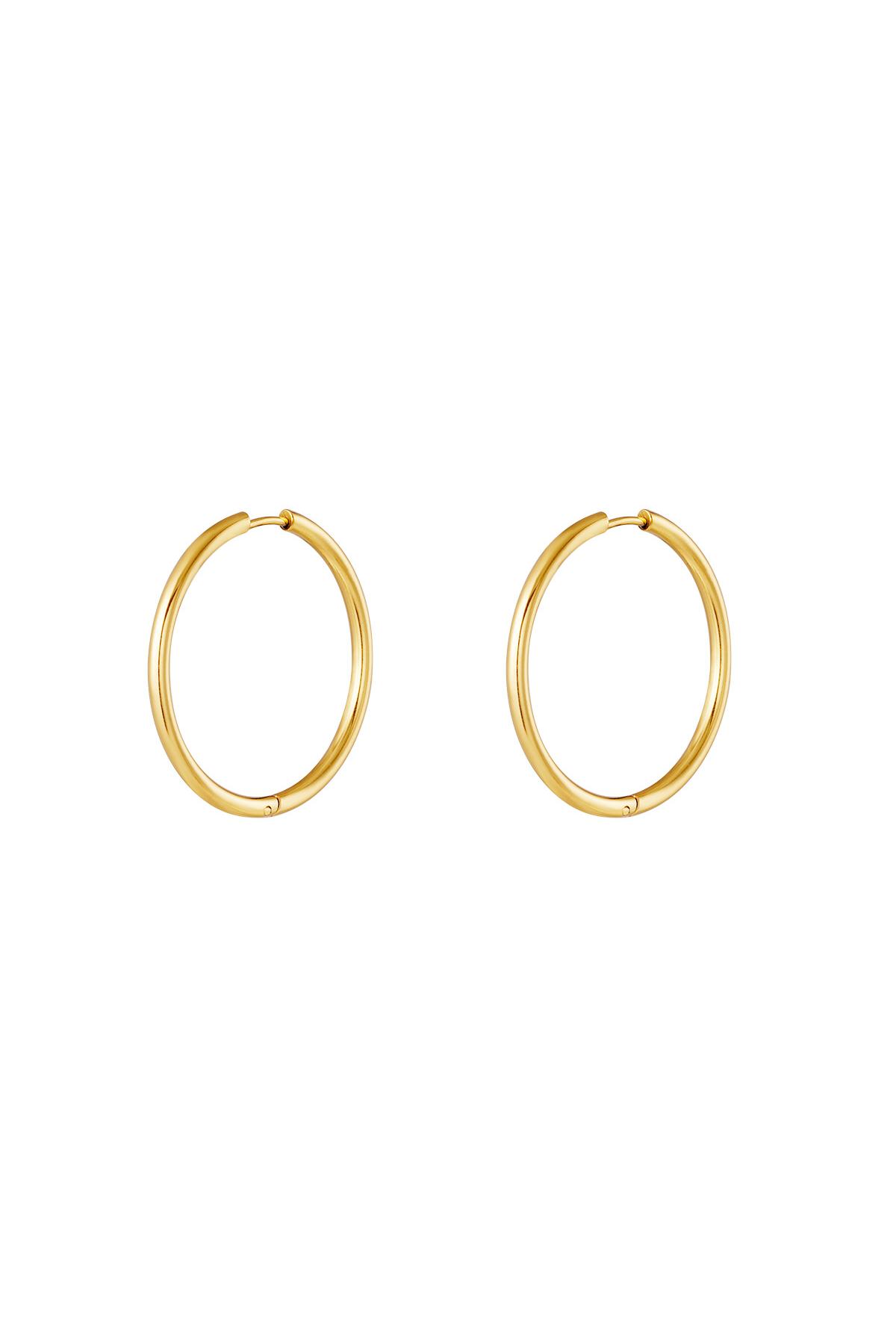 Stainless steel earrings hoops small Gold h5 