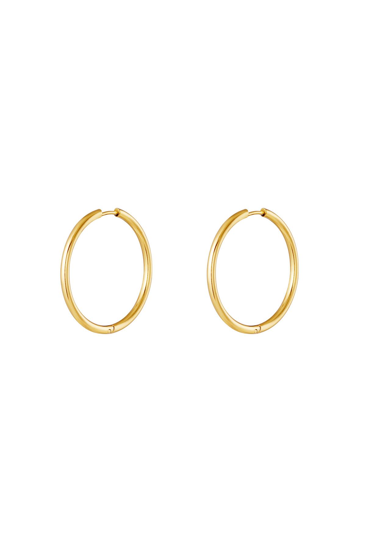 Stainless steel earrings hoops small Gold color 2