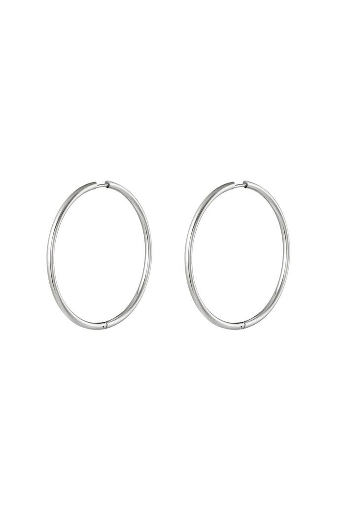 Stainless steel earrings hoops medium Silver 