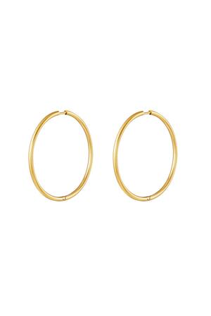 Stainless steel earrings hoops medium Gold h5 