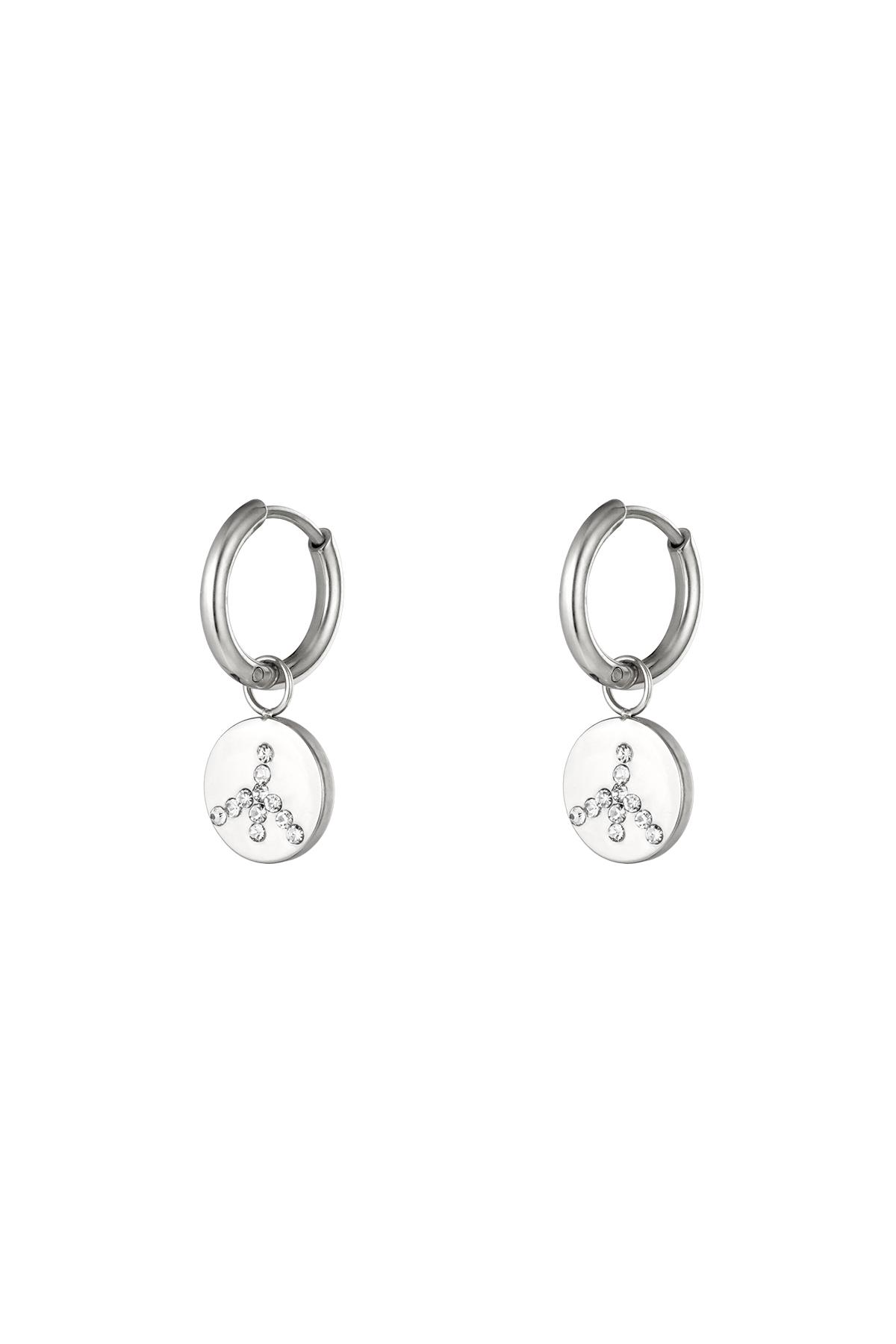 Stainless steel earrings Silver h5 