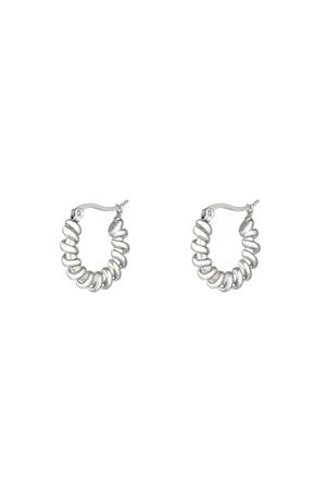 Stainless steel earrings Silver h5 
