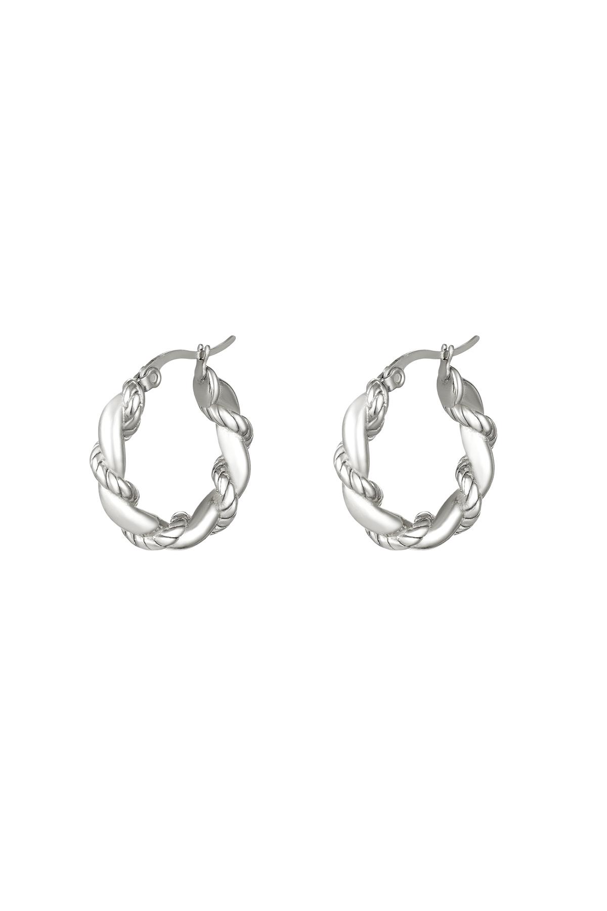 Stainless steel earrings Silver h5 