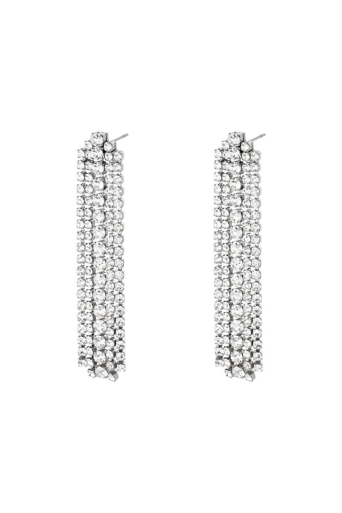 Stainless steel earrings Shimmer Silver 