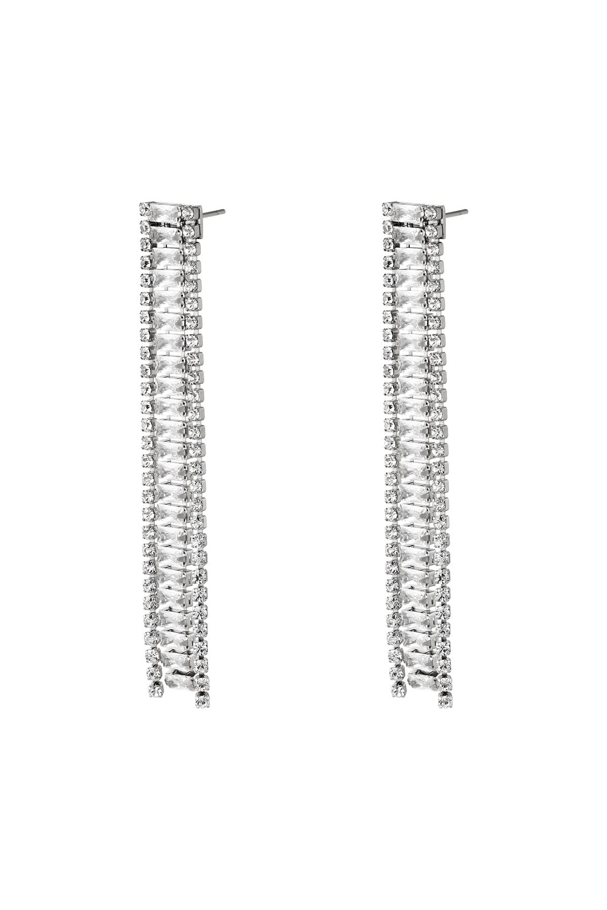 Stainless steel earrings Shimmer Silver h5 