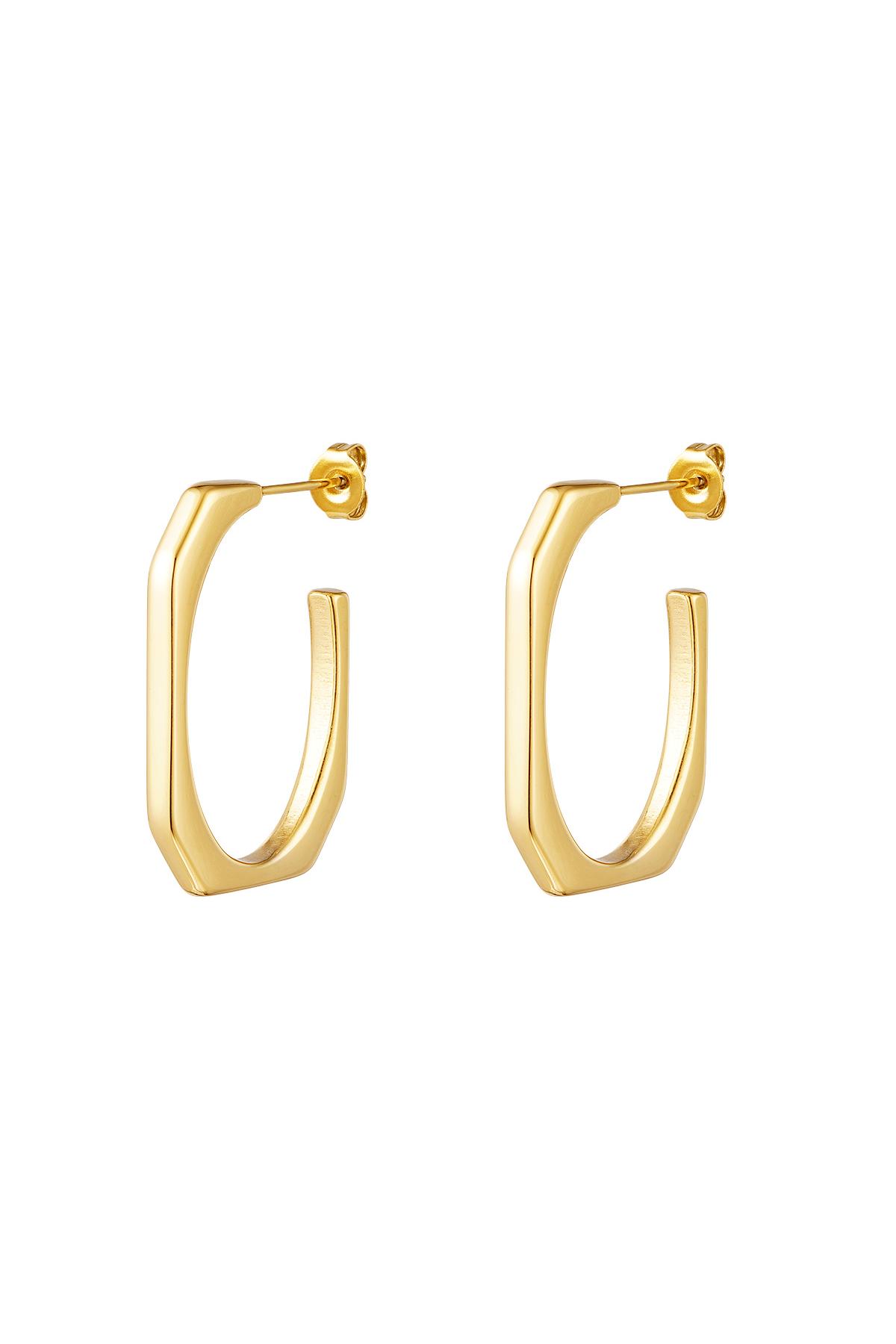 Earrings geometric Gold Stainless Steel 