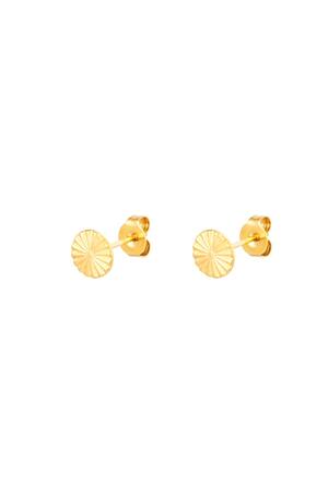 Stud Earrings Circle Gold Stainless Steel h5 