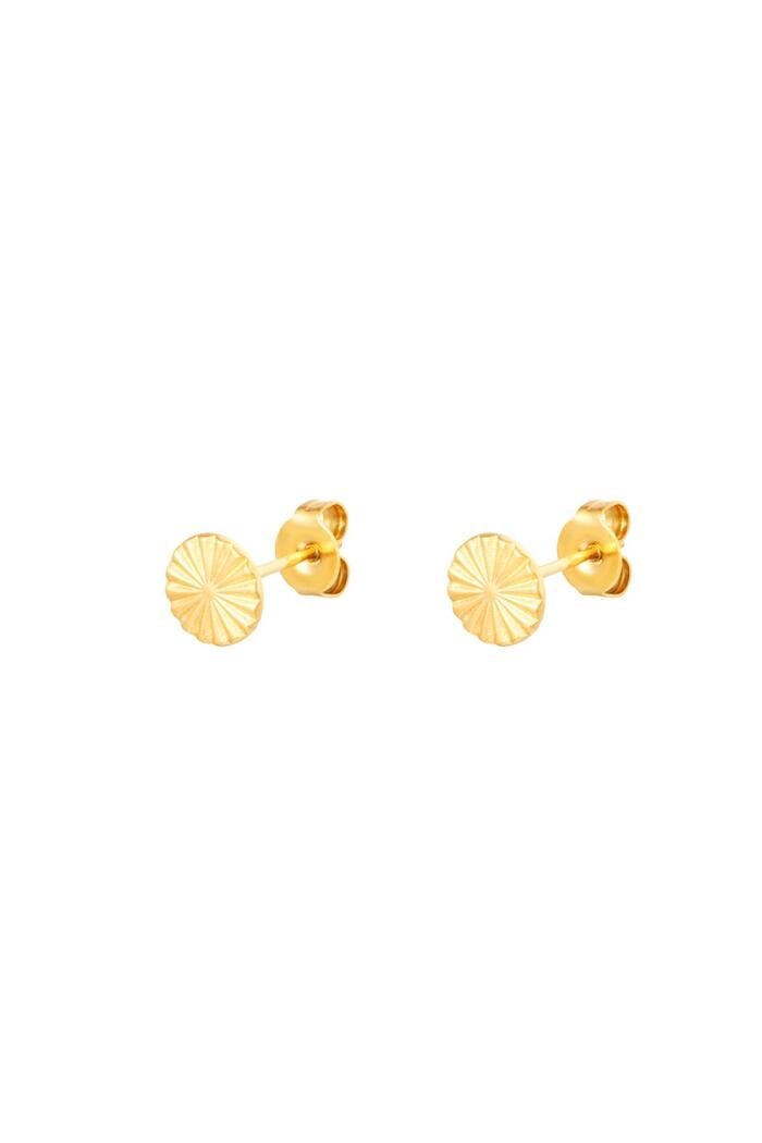 Stud Earrings Circle Gold Stainless Steel 