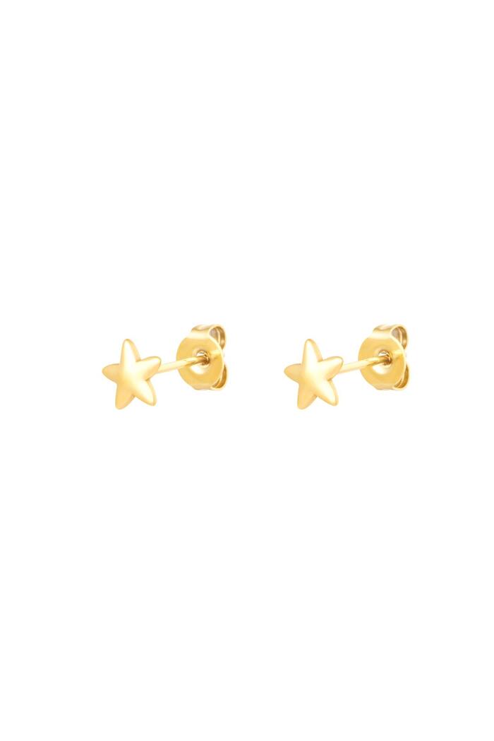 Stud Earrings Star Gold Stainless Steel 