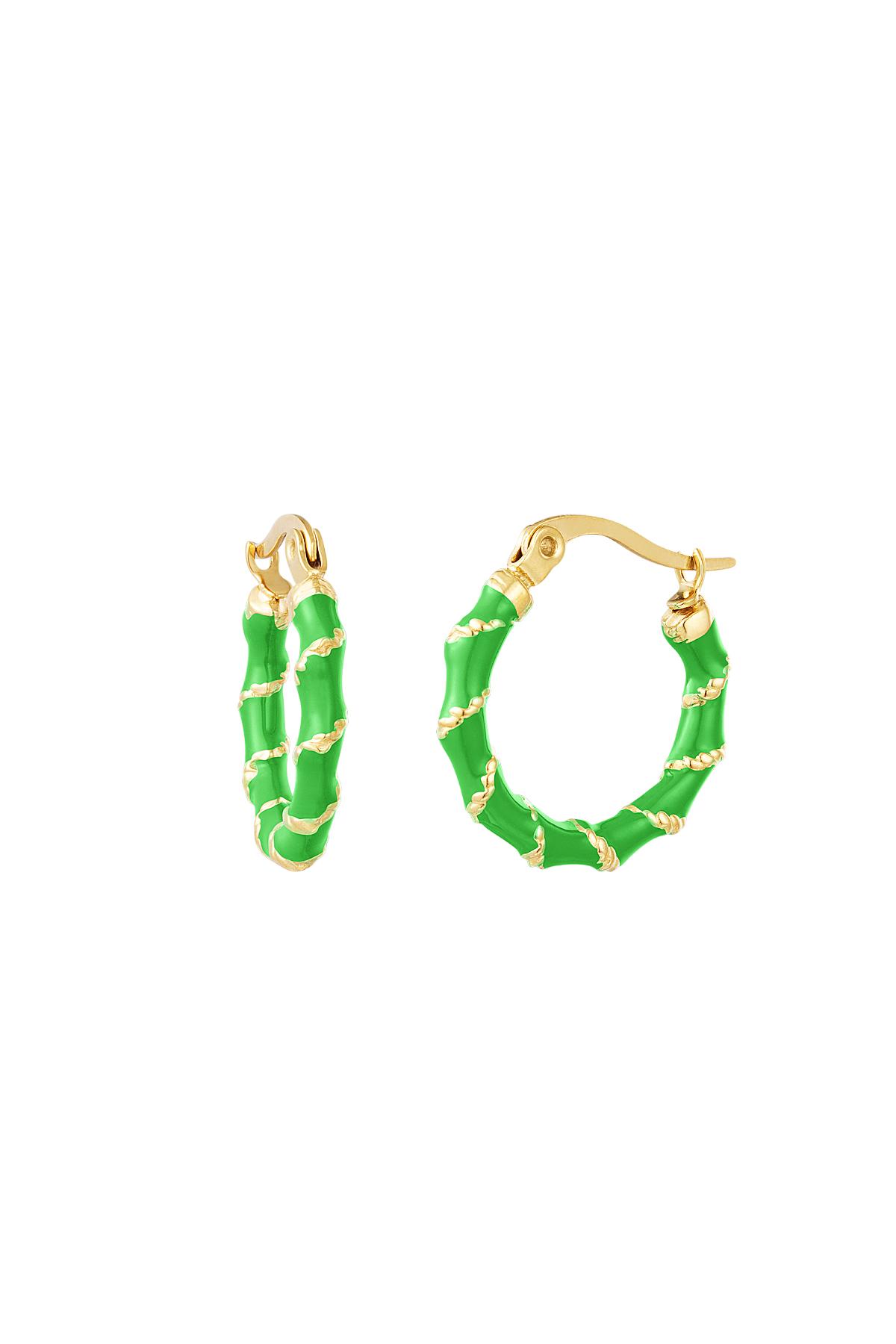 Stainless steel earrings with golden wrap detail Green 