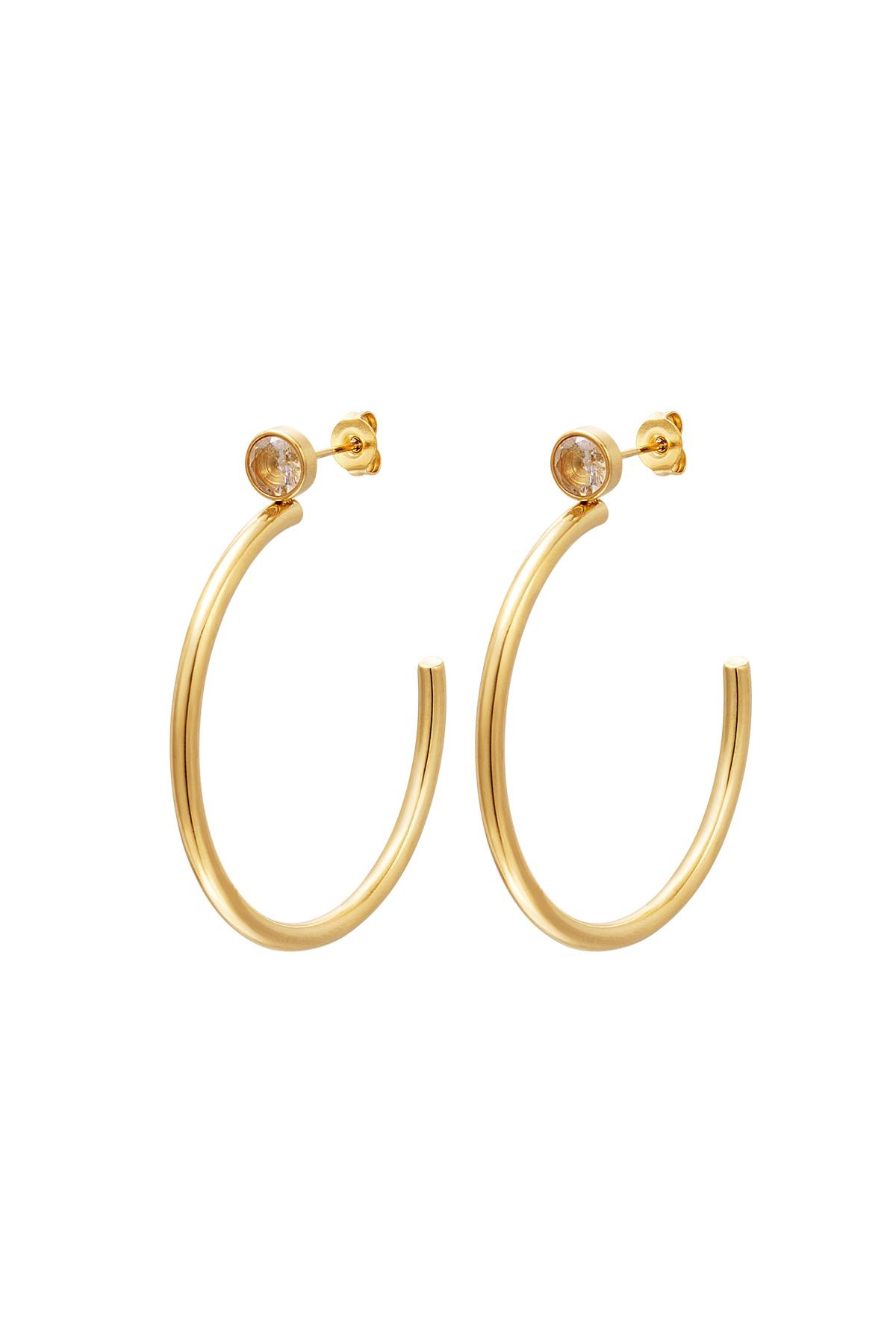 Big hoops with zircon Gold Stainless Steel h5 