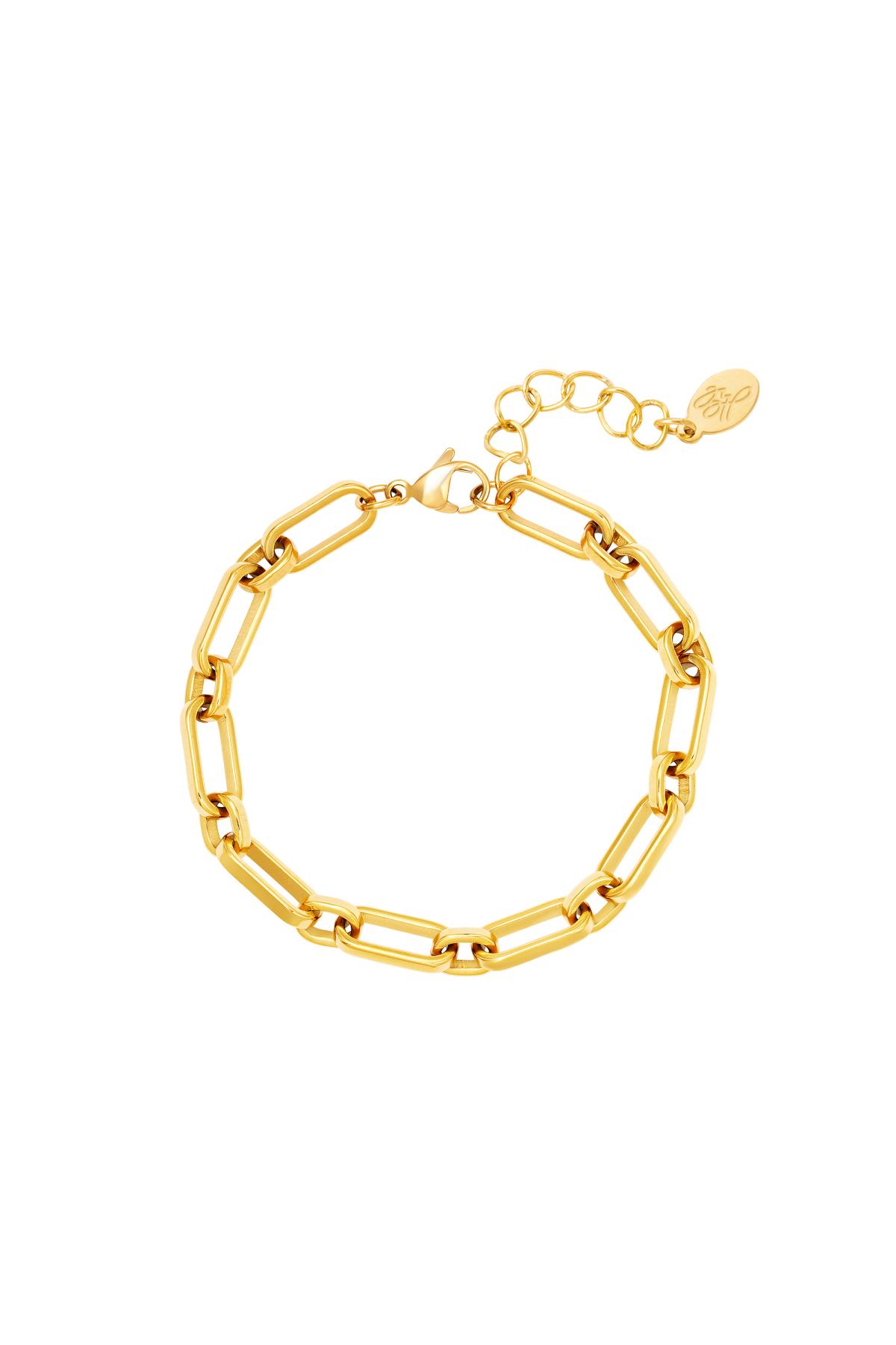 Chain bracelet Gold Stainless Steel