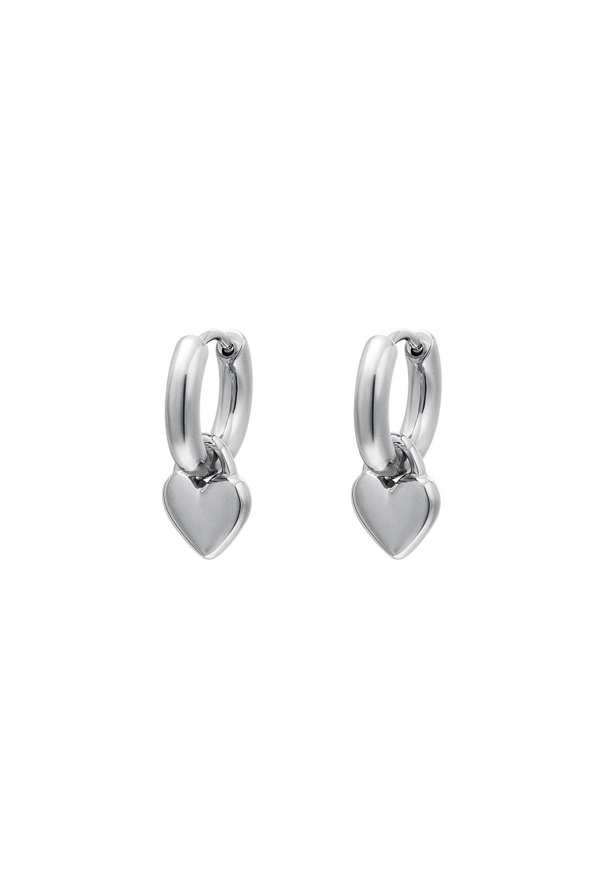 Heart earrings Silver Stainless Steel h5 