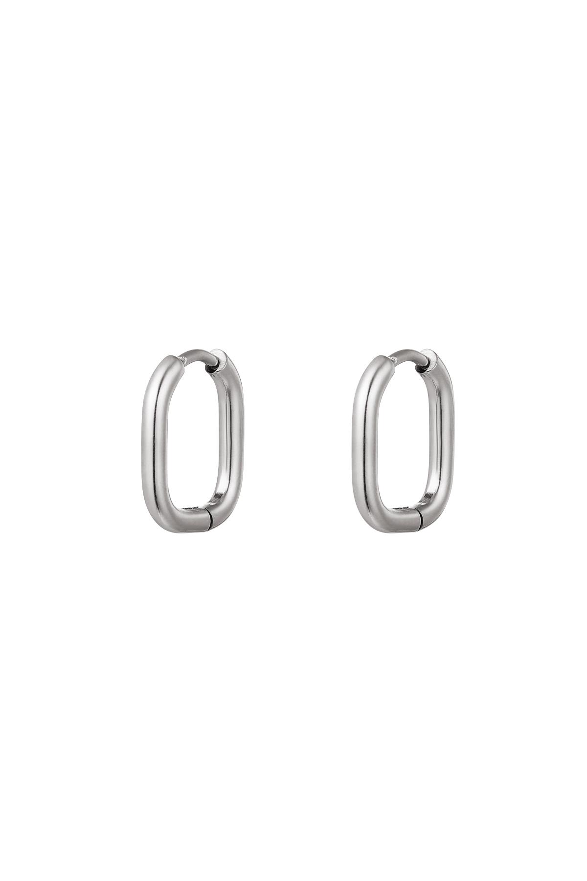 Earrings classic - small Silver Stainless Steel