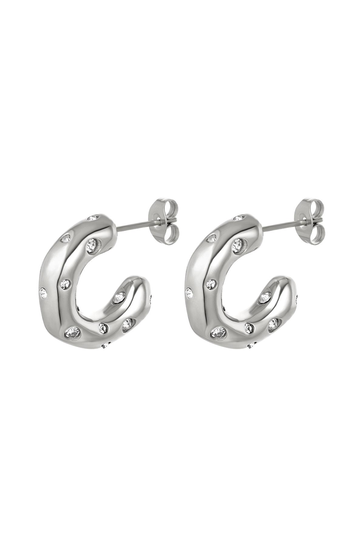 Earrings zircon stone Silver Stainless Steel