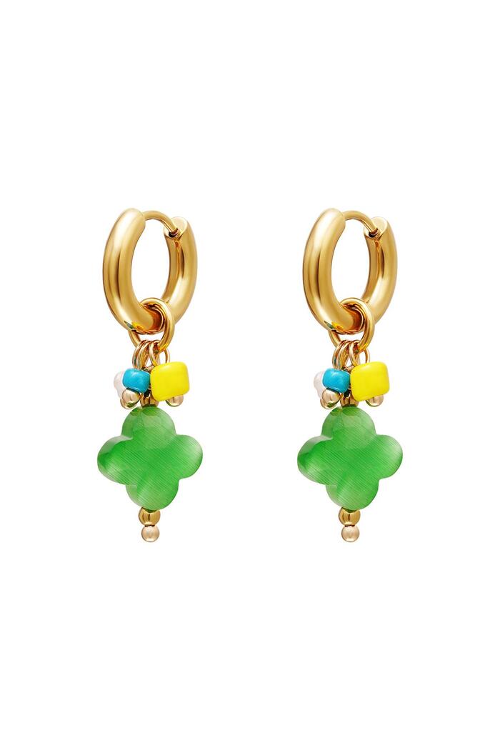 Dangling clover earrings Green & Gold Stainless Steel 